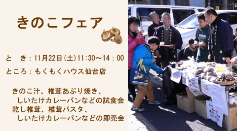 きのこフェア開催
